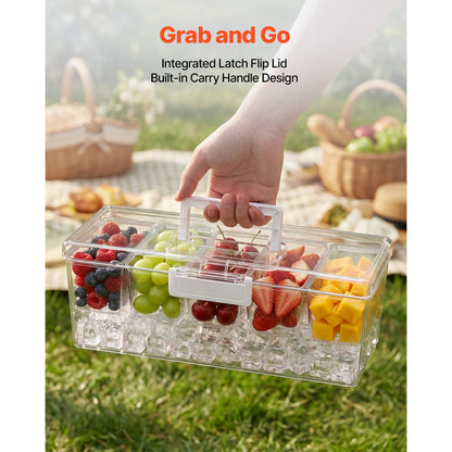 5-Compartment Chilled Condiment Server with Ice Tray & Lid – feature detail view