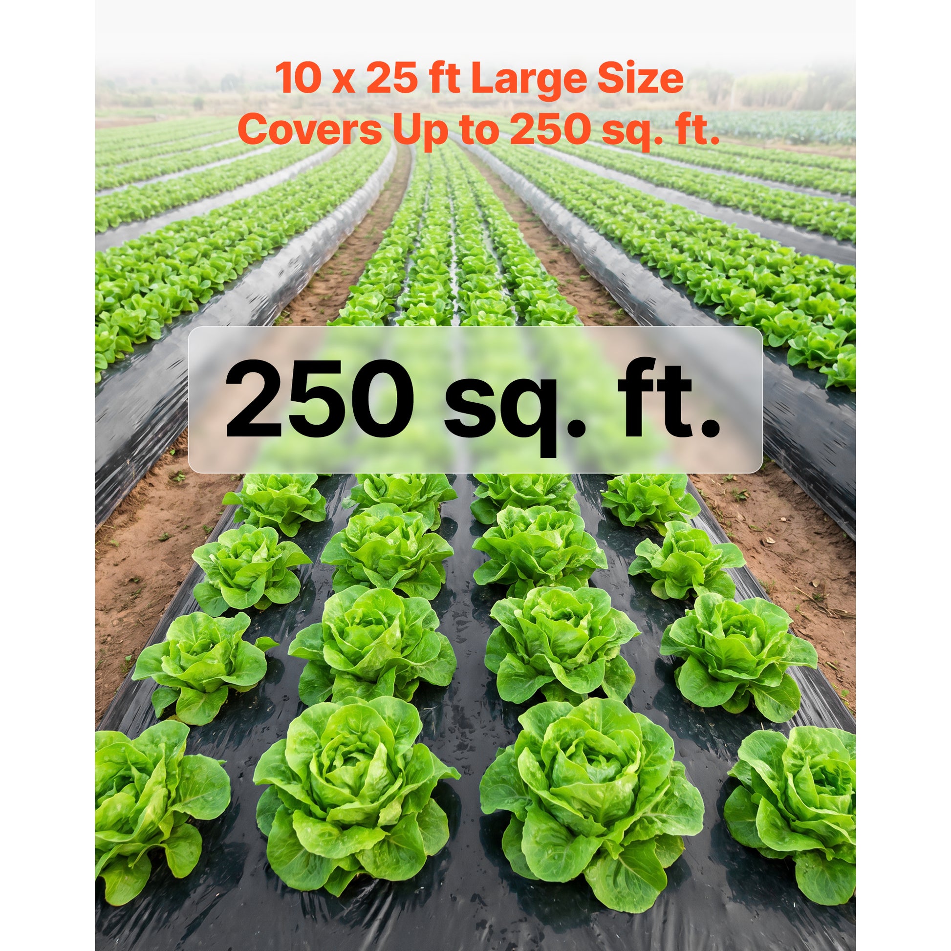 6 Mil Black Plastic Sheeting, 10 x 25 ft Heavy-Duty Polyethylene Roll – product detail view