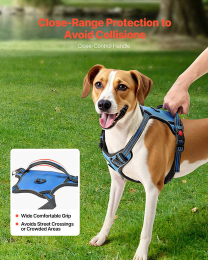 No-Pull Dog Harness with 5 ft Leash – additional product view