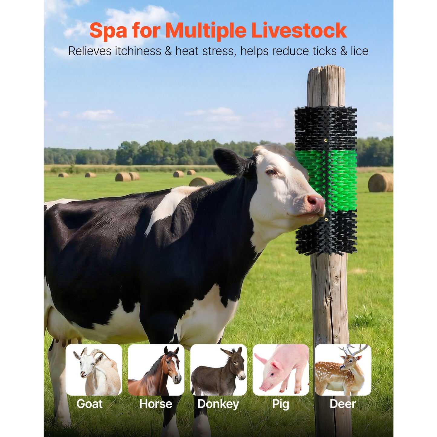 16.9" Livestock Scratching Brush with Mounting Screws, Green & Black – alternate product view