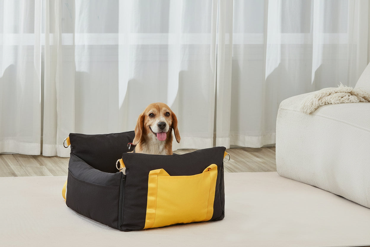 Dog sitting in a black and yellow pet bed on a carpeted floor with curtains in the background.